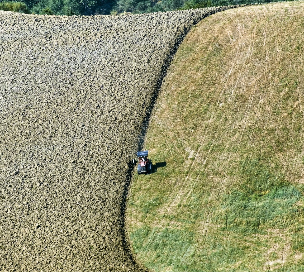 Mapy cyfrowe w biznesie. Jak dane przestrzenne pomagają zarządzać dużym terenem?